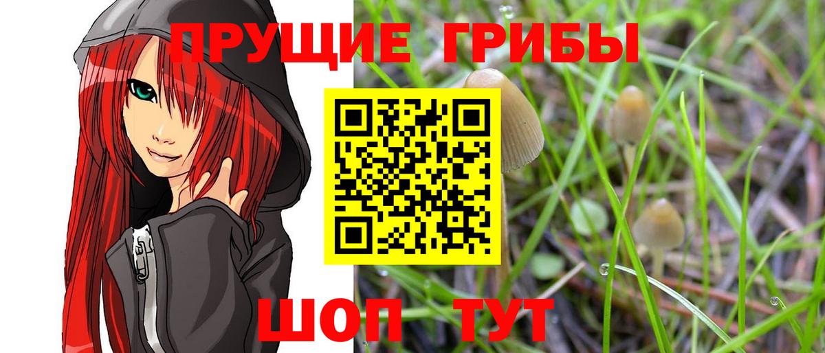 Псилоцибиновые грибы MAGIC MUSHROOMS  Вход с VPN  Новокубанск 