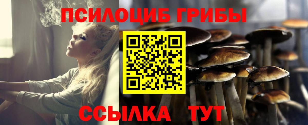Галлюциногенные грибы Cubensis Новокубанск