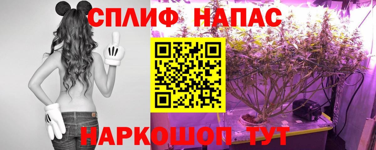 Марихуана OG Kush Новокубанск